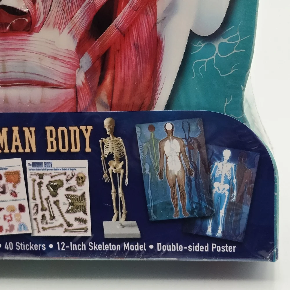 NEW Learning Adventures Human Body 12